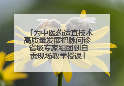 为中医药适宜技术高质量发展把脉问诊 省级专家组团到自贡现场教学授课
